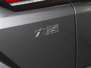 20231.6T DCTSPORT (ji)^