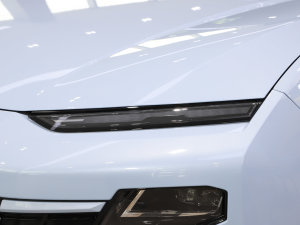 20231.5T DHTW (x)(ji)^