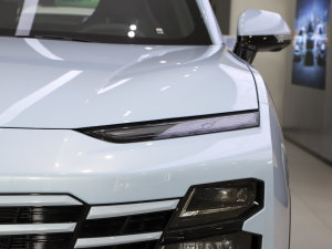 20231.5T DHTW (x)(ji)^