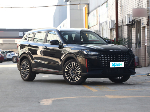 20231.6T DCTPRO+ 7 ǰ45