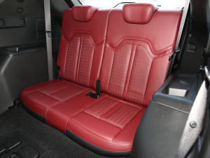 20231.6T DCTPRO+ 7 g