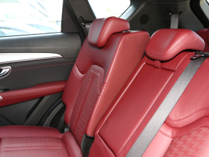 20231.6T DCTPRO+ 7 g