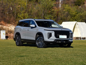 20241.5TD 2DHT Max 7 ǰ45