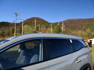 20241.5TD 2DHT Max 7 ^