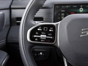 20241.5TD 2DHT Max 7 п؅^