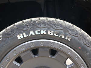 20242.0T (q)y֮ (x)(ji)^