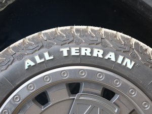 20242.0T (q)y֮ (x)(ji)^