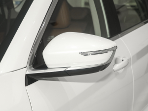 20241.5T 120km MAX+ 5 ^