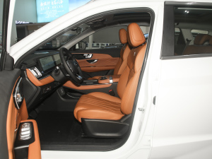 20241.5T 120km MAX+ 5 g