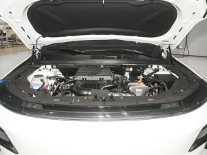 20241.5T 120km MAX+ 5 