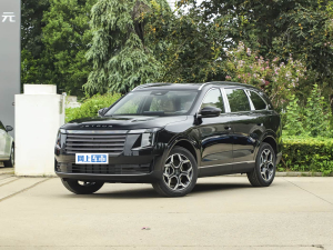 20251.5TD pxϘ˜ 5 w^