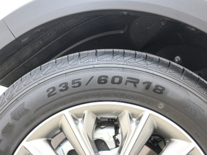 20181.5T ԄӐа ݆̥ߴ