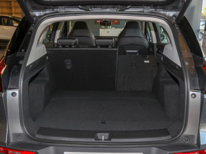 2021L(zhng)m(x) PUREǃ g