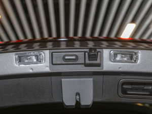 2021L(zhng)m(x) PUREǃ g