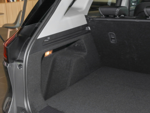 2021L(zhng)m(x) PUREǃ g