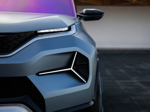 2019������ �������^