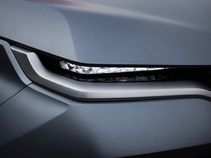 2019������ �������^