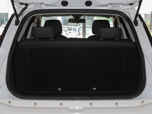 2020��ǰ� ��������g