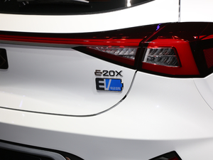 2020����� �������^