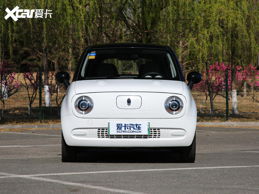 长城汽车2019款欧拉R1