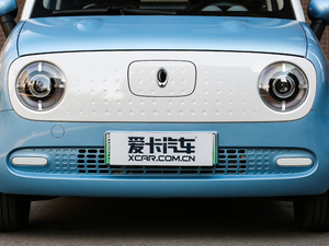 2019款351km 灵趣版 中网