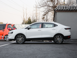 2019401km (lin) (c)