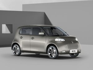 2020款360km 标准型 整体外观