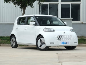 2020款360km 豪华型 整体外观