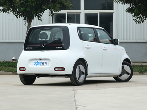 2020款360km 豪华型 整体外观