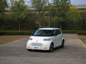 2020款401km 旗舰型 整体外观