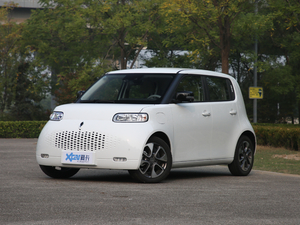 2020款401km 旗舰型 整体外观