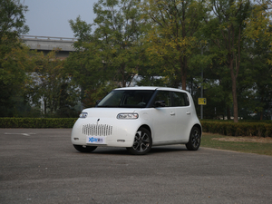 2020款401km 旗舰型 整体外观
