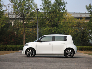 2020款401km 旗舰型 整体外观