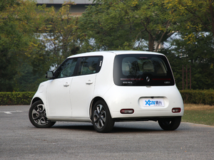 2020款401km 旗舰型 整体外观