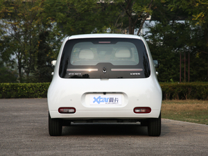 2020款401km 旗舰型 整体外观