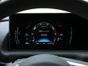 2020款401km 旗舰型 其它