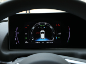 2020款401km 旗舰型 其它