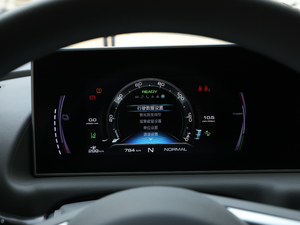 2020款401km 旗舰型 其它