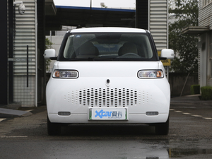2020款360km 标准型 正前