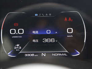 2020款360km 标准型 仪表