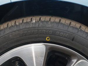 2020��305km ���A�� �������^