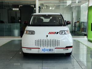 2020款401km 长续航型 正前