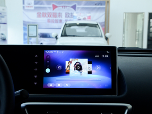 2020款401km 长续航型 中控台显示屏