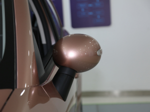 2021款405km 长续航型 后视镜