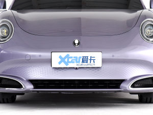 2022款705km 长续航版 中网