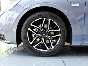 2022款555km 尊贵版 轮圈