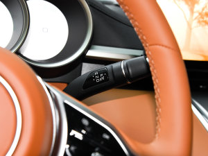2022款555km 尊贵版 换挡杆