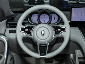 2022款555km 豪华版 方向盘