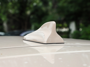 2024501km A (x)(ji)^