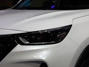 20202.0T Ԅ(dng)r(sh)(lin) 7 (x)(ji)^